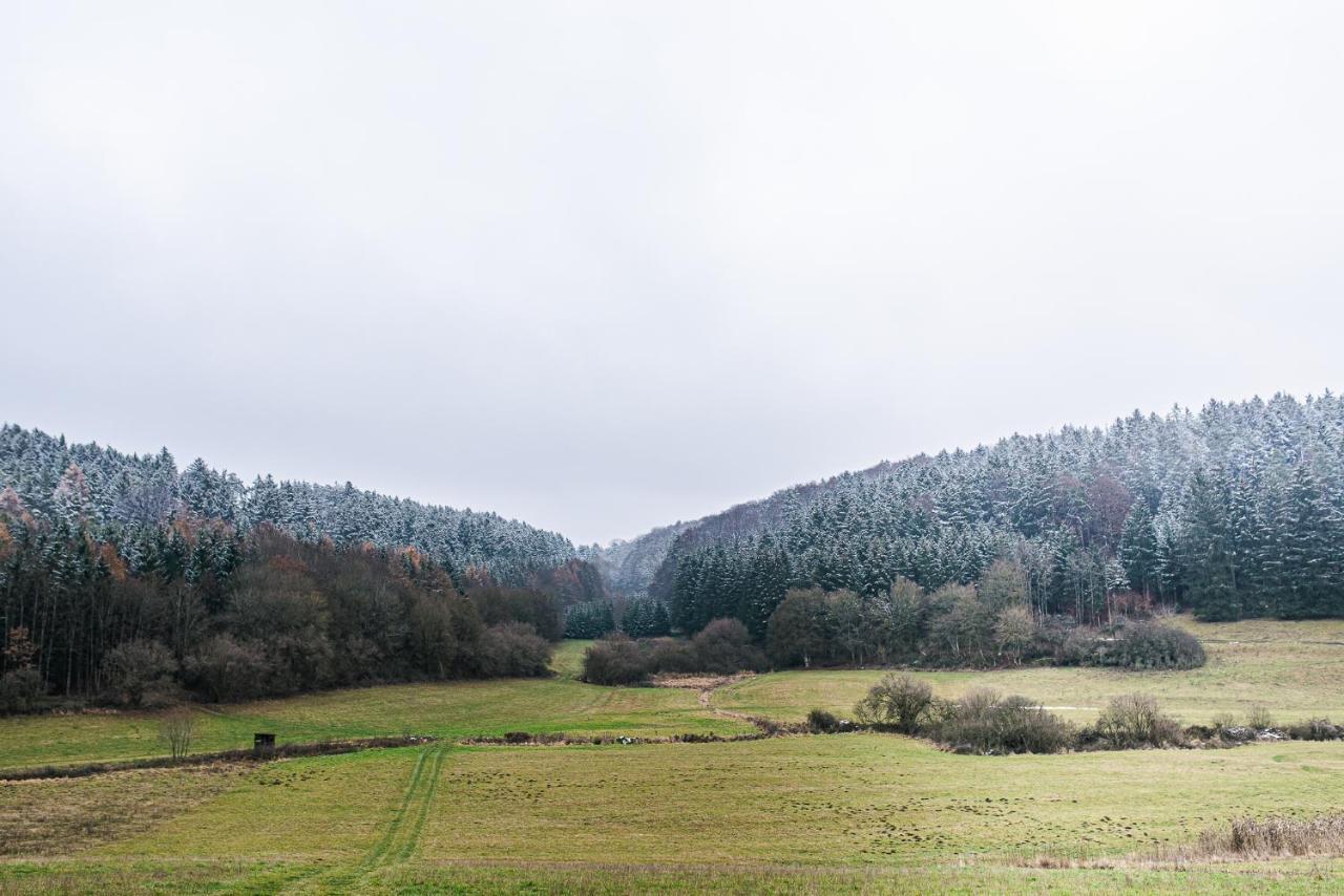 Villa Talblick Im Naturpark Altmuehltal Greding Exterior photo